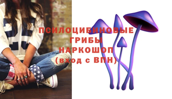 прущие грибы Абаза
