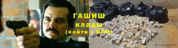прущие грибы Абаза