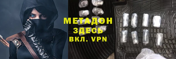 прущие грибы Абаза