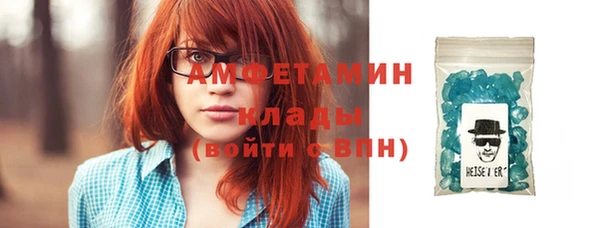 прущие грибы Абаза