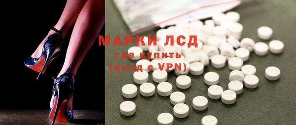 прущие грибы Абаза