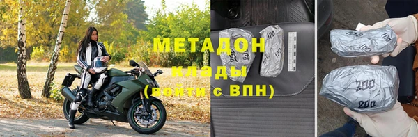 прущие грибы Абаза