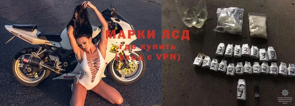 спиды Абинск