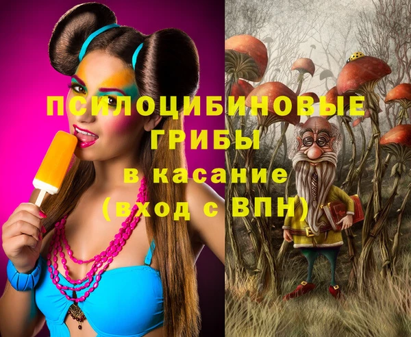 прущие грибы Абаза