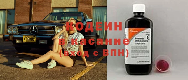 прущие грибы Абаза