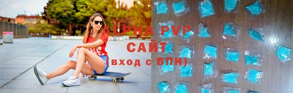 прущие грибы Абаза